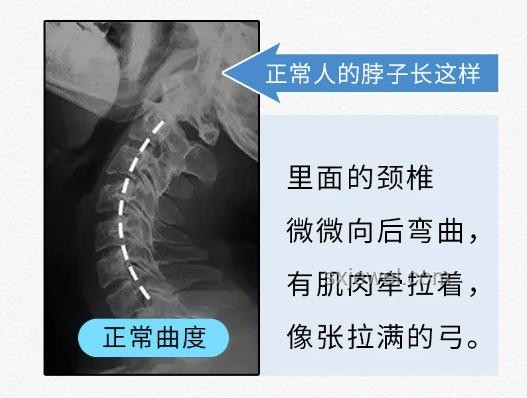 4个羞耻离谱却有效的塑形技巧（男女通用）